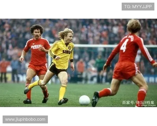 德甲球队球员信息介绍表，详尽的球员档案与数据汇总