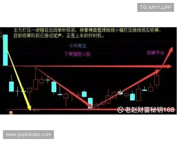 首尔衣恋主场激战城南一和争夺关键三分前瞻解析与赛季走势深度观察 首尔衣恋主场激战城南一和争夺关键三分前瞻解析与赛季走势深度观察